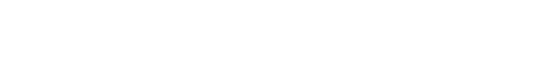 visxpert.in